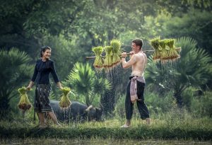 Water Forest Grass Outdoor People Growth 1271140 Pxhere.com Min 300x205