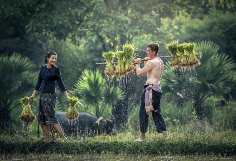 Water Forest Grass Outdoor People Growth 1271140 Pxhere.com Min 768x524