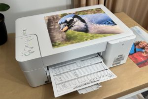 What Is The Disadvantage Of Canon Printer 300x200